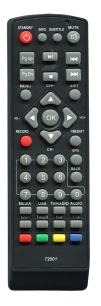 SKYVISION T2501 NOVA T2 LORTON ES-4090HD  [DVB-T2] пульт ДУ Т2 тюнера - магазин Remote - Фото 1
